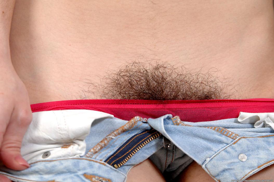 14P Sexy brunette babe shows off her hairy pussy and arm pits