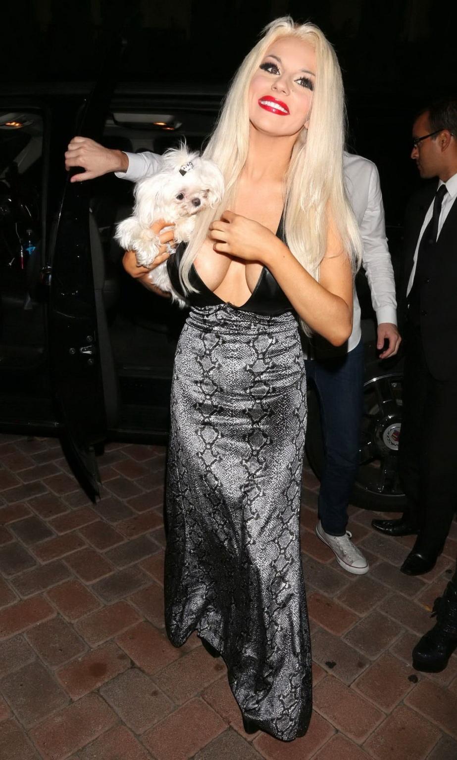 16P Courtney Stodden nipple slip in a low cut snake print dress at the Art Loves Fas