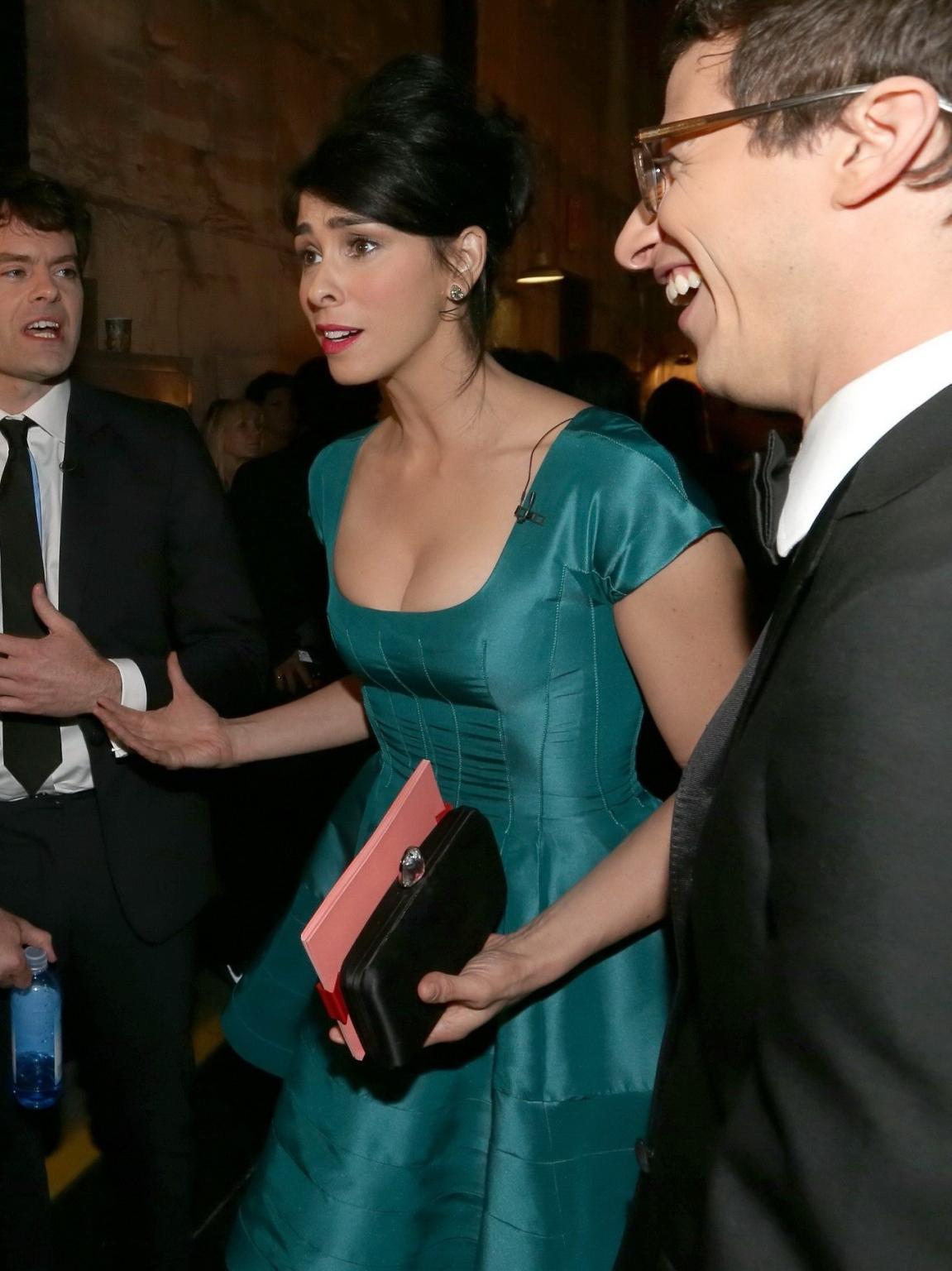 16P Sarah Silverman showing huge cleavage at the Comedy Central's 'Roast of James Fr