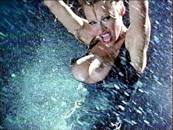 16P Pamela Anderson exposed tits and nipple slip paparazzi pictures