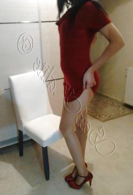 8P Turkish babe tulin