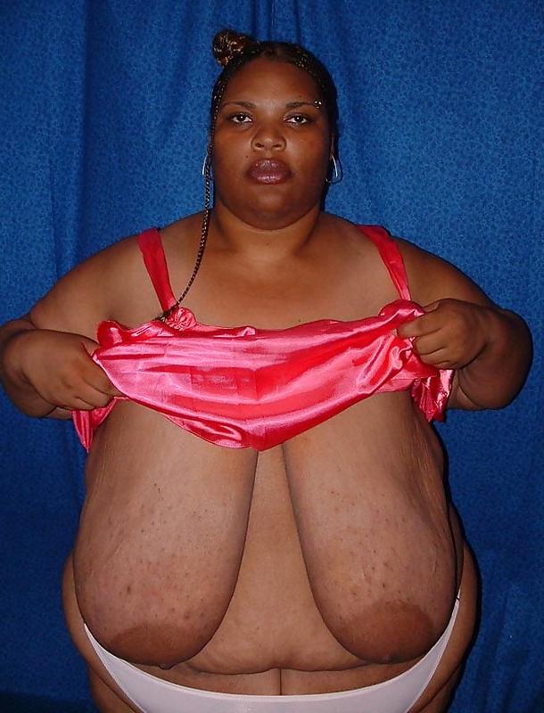 25P BBW's for every taste!