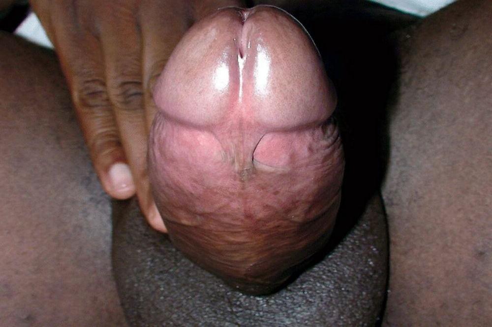 15P Hung gay black bfs posing and fucking gallery 5