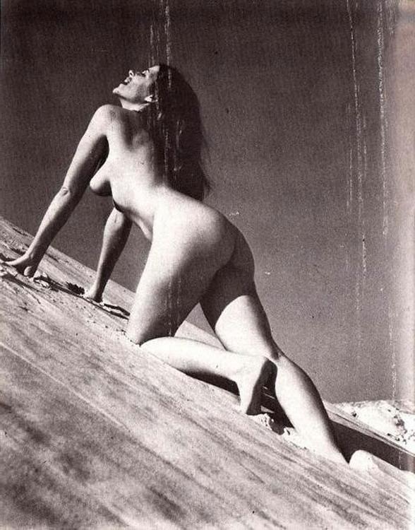 16P Vintage naked chicks demonstrate their hairy pussy