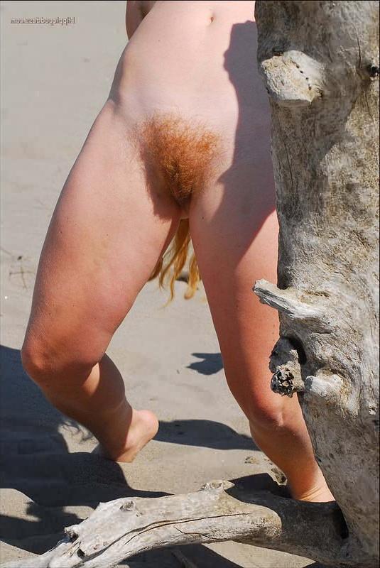 16P Hairy redhead nudist on beach bares red pubic hair