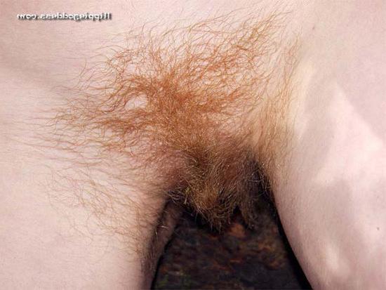 15P Hairy redhead hippie