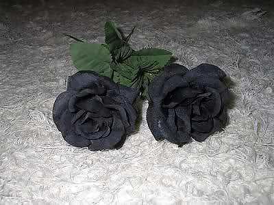 19P Gothic