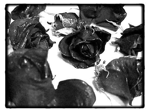 19P Gothic
