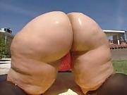 25P White BBW's