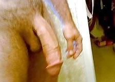 16P Turkish  Cock 2