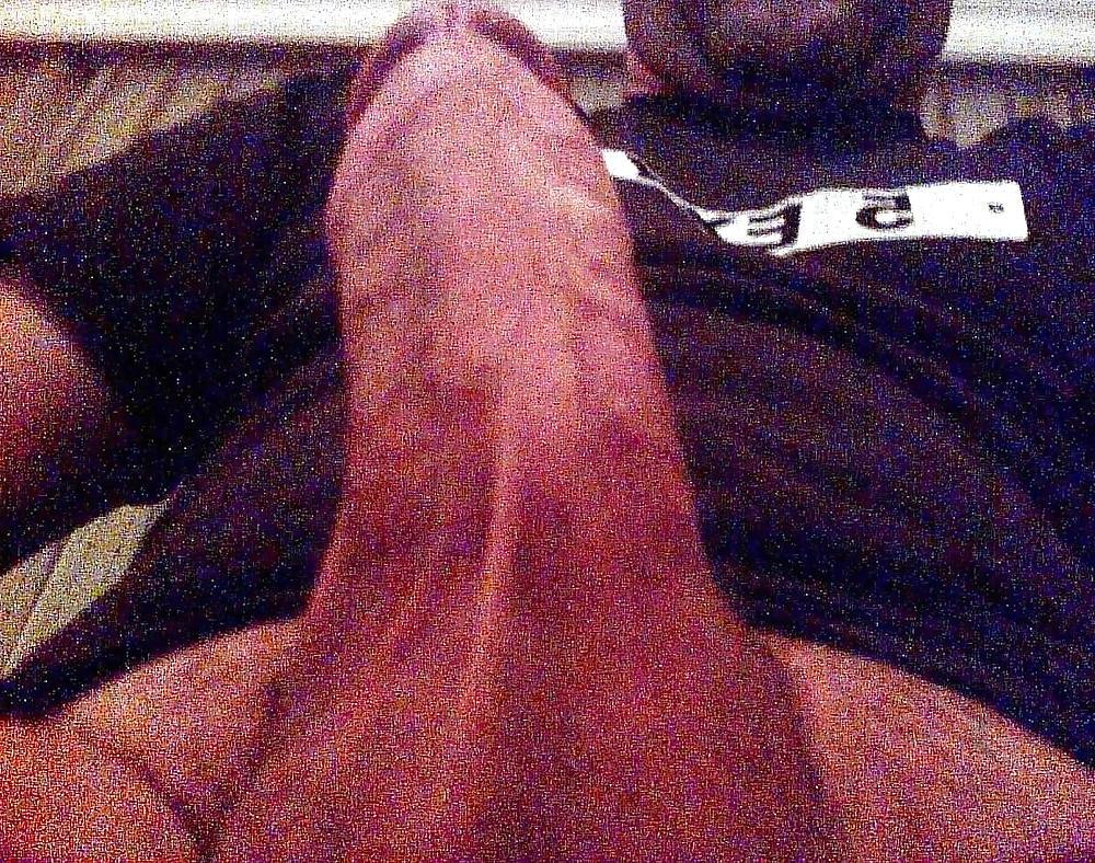 16P Turkish  Cock 2