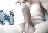 16P Turkish  Cock 2