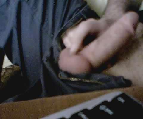 16P Turkish  Cock 2