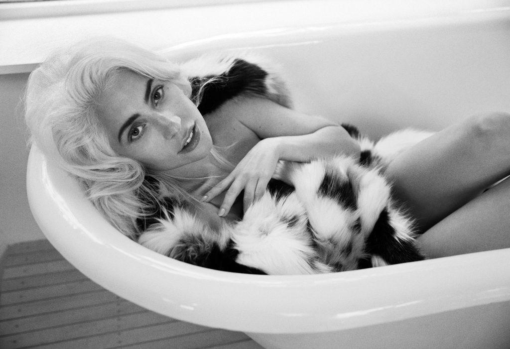 8P Lady Gaga Hot