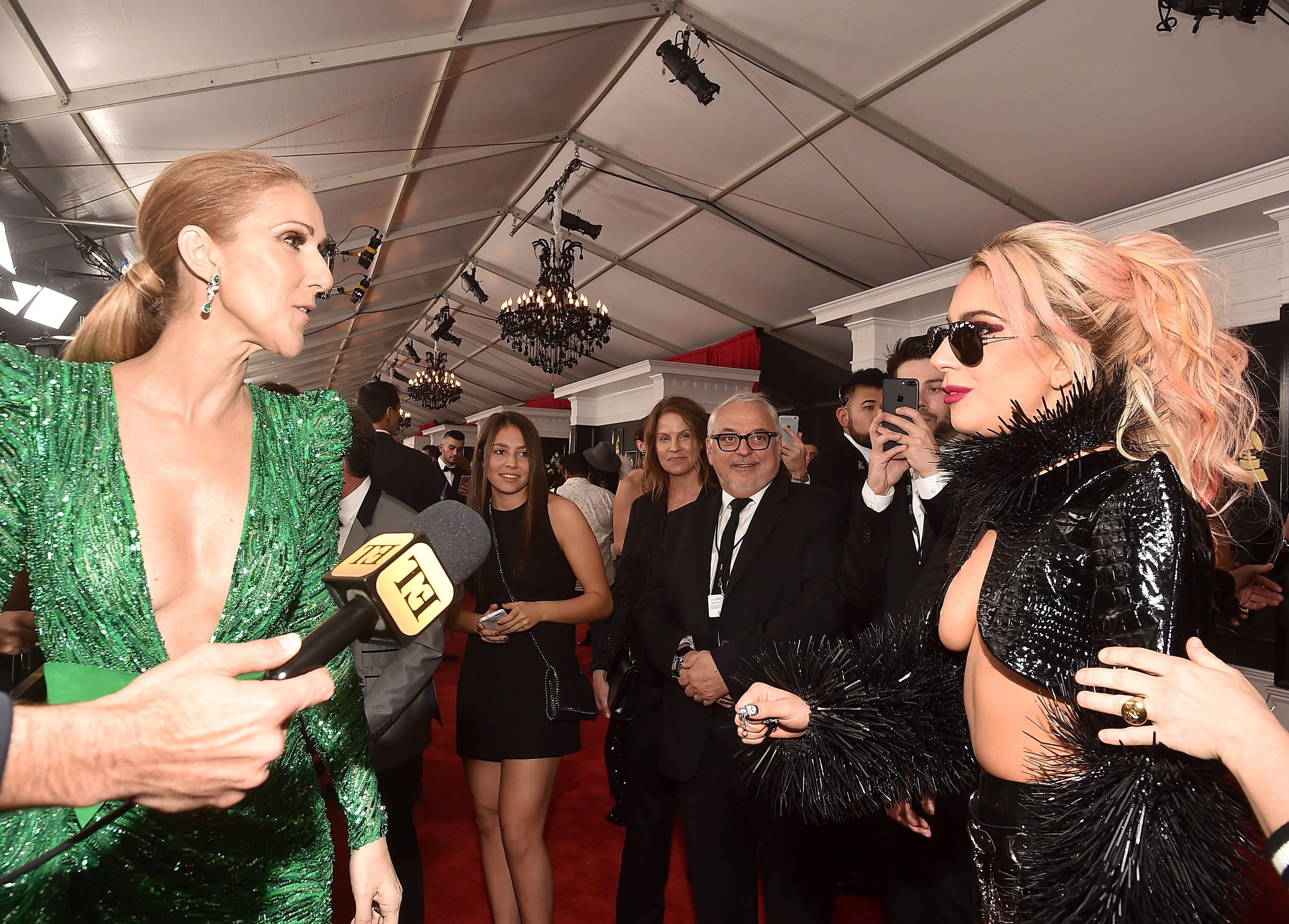 15P Lady Gaga Underboob Photos