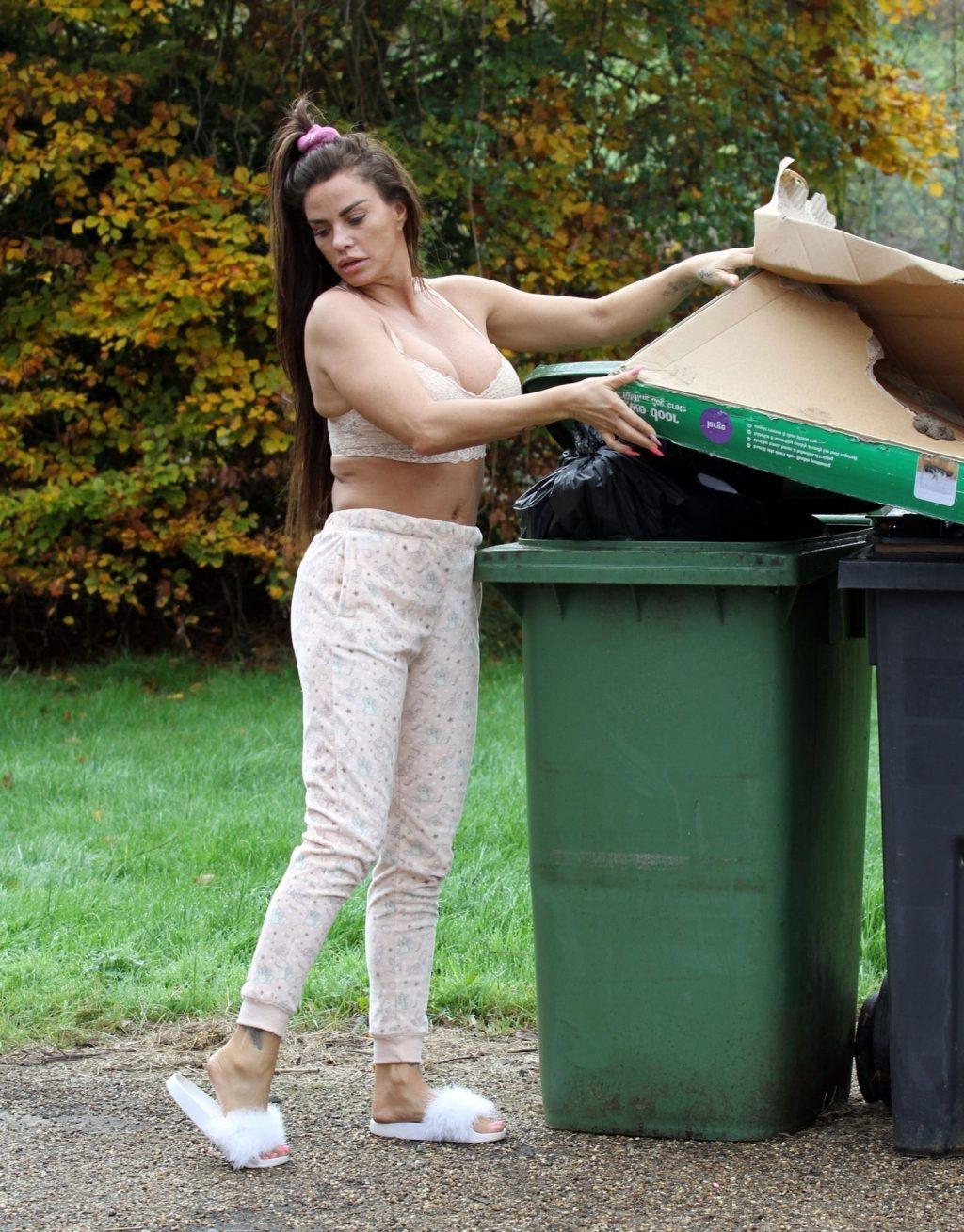 25P Katie Price Cleavage