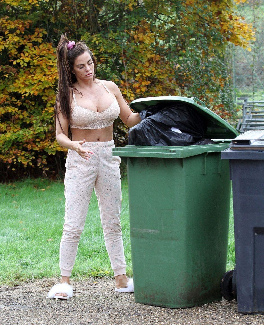 25P Katie Price Cleavage