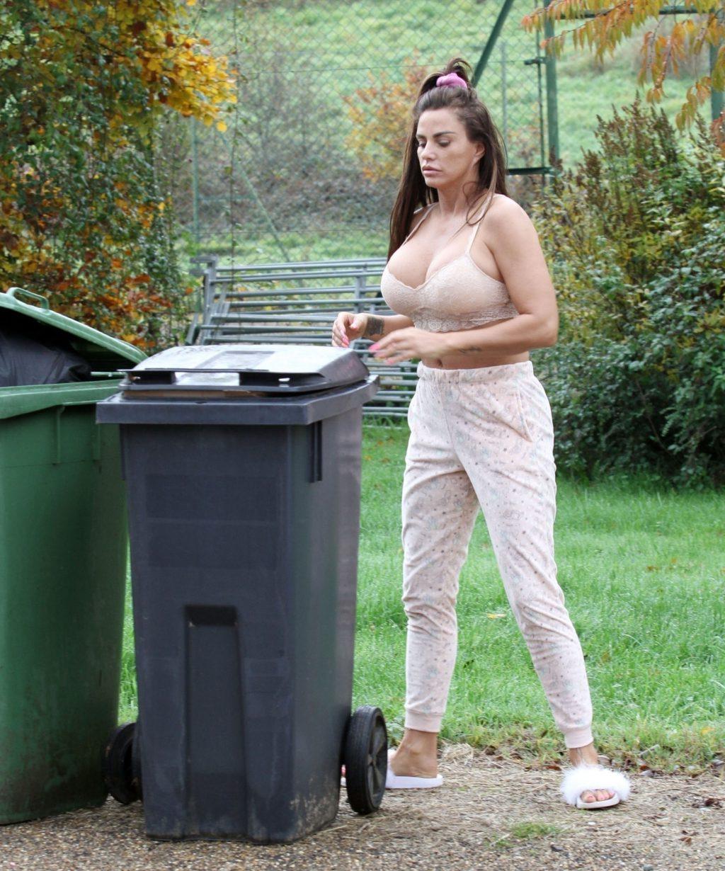 25P Katie Price Cleavage