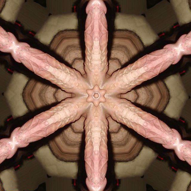 11P BIG COCK FEMDOM