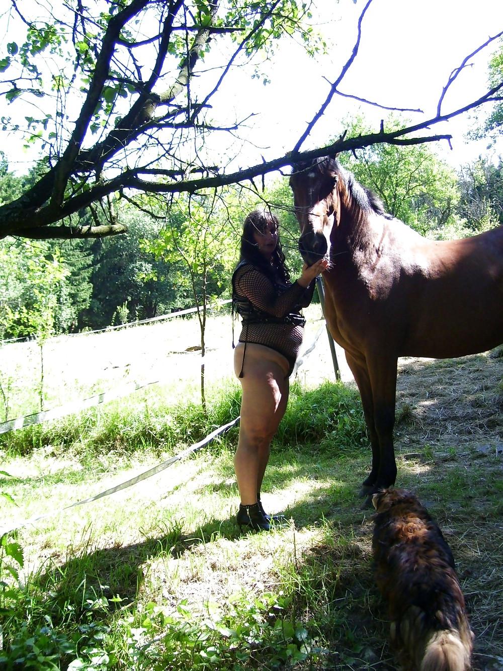19P Bbw-corinna Horse Woman