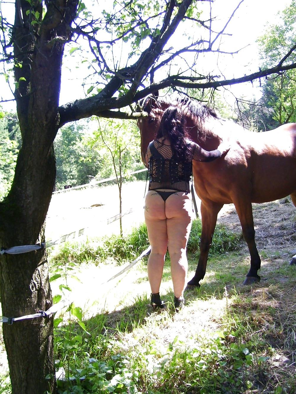 19P Bbw-corinna Horse Woman