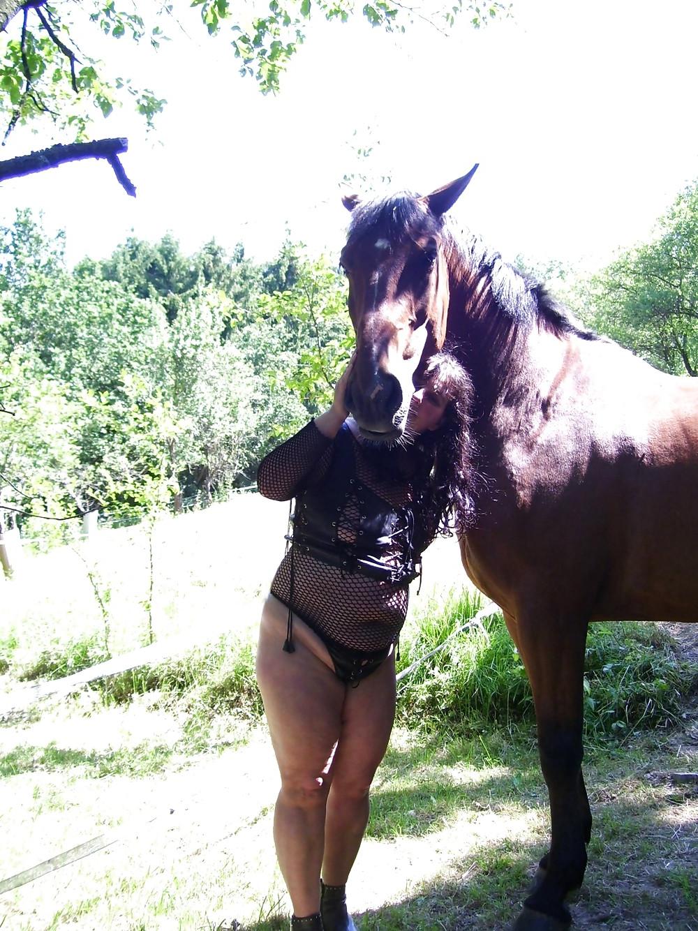 19P Bbw-corinna Horse Woman