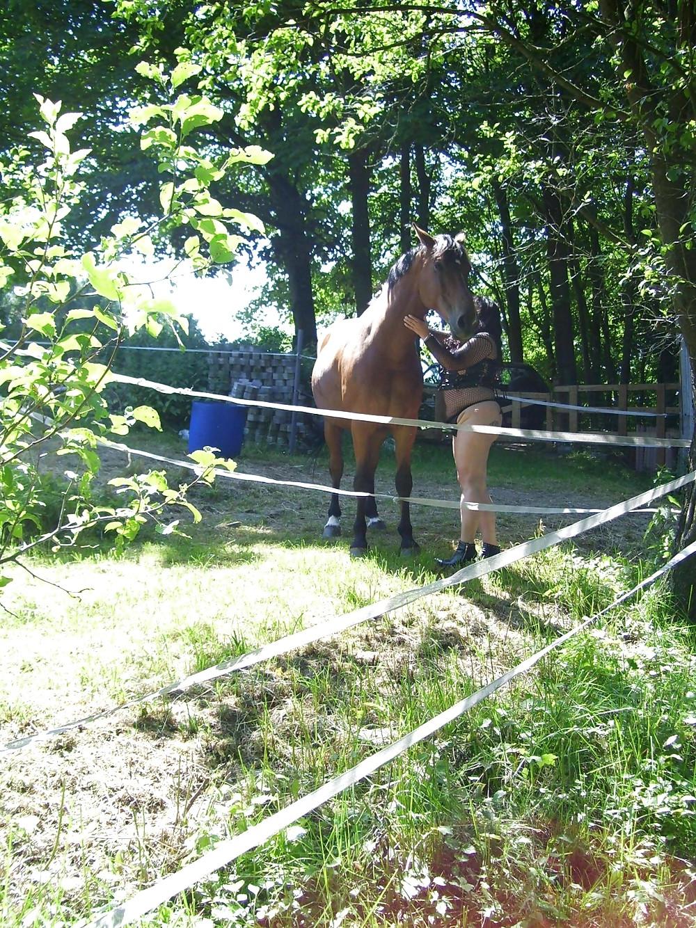 19P Bbw-corinna Horse Woman