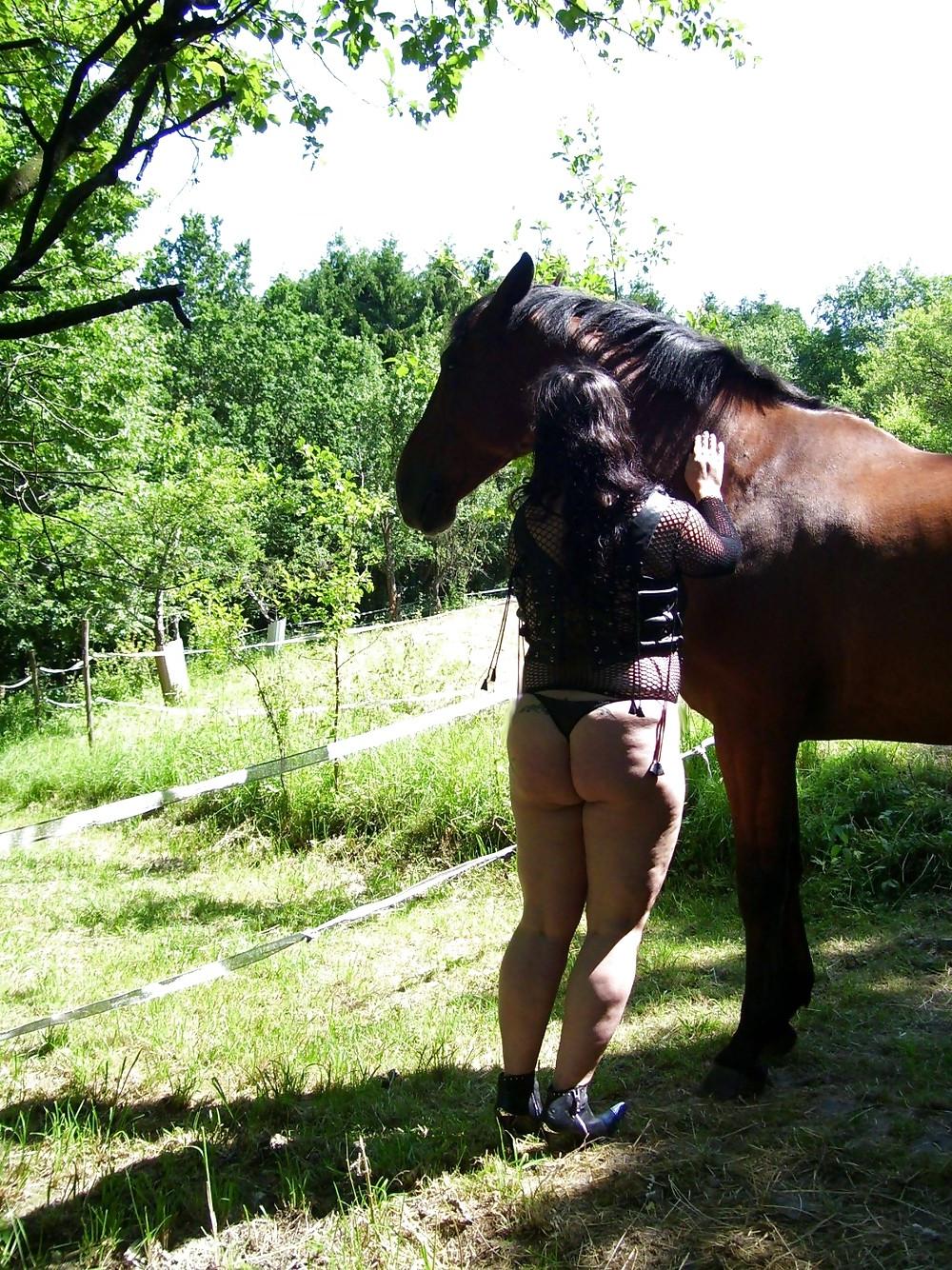 19P Bbw-corinna Horse Woman