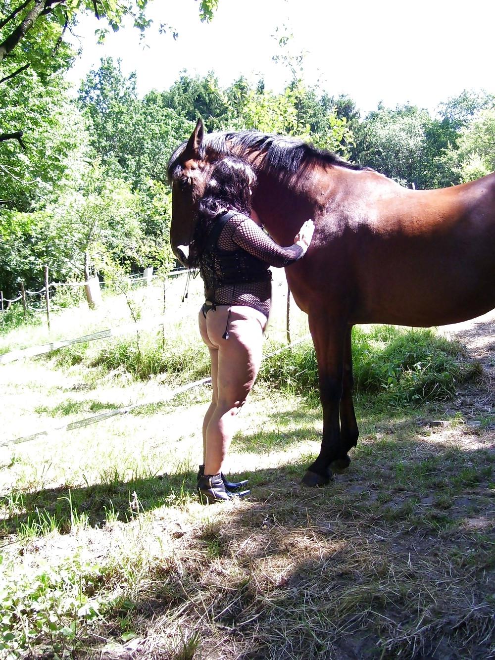 19P Bbw-corinna Horse Woman