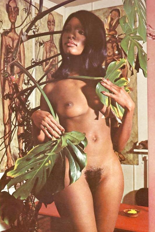 25P Potpurri of Retro Ero and Porn Photos 3