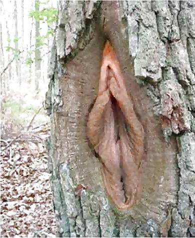 7P Sex in nature