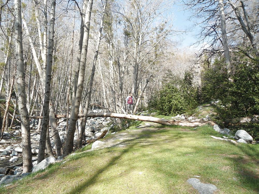 16P More Nature photos