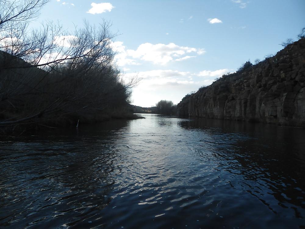 16P More Nature photos