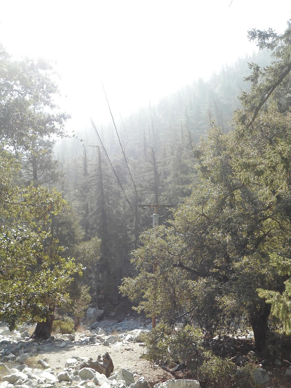 16P More Nature photos