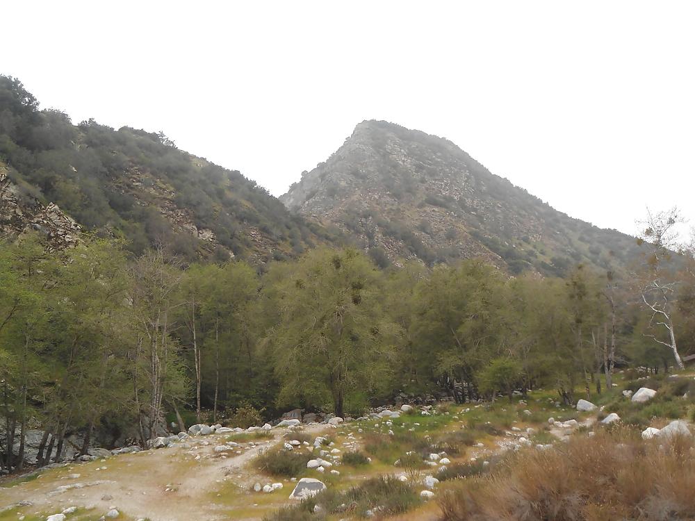 16P More Nature photos