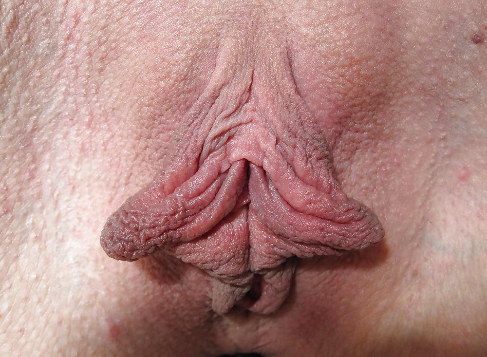 8P Shelly's Luscious Labia