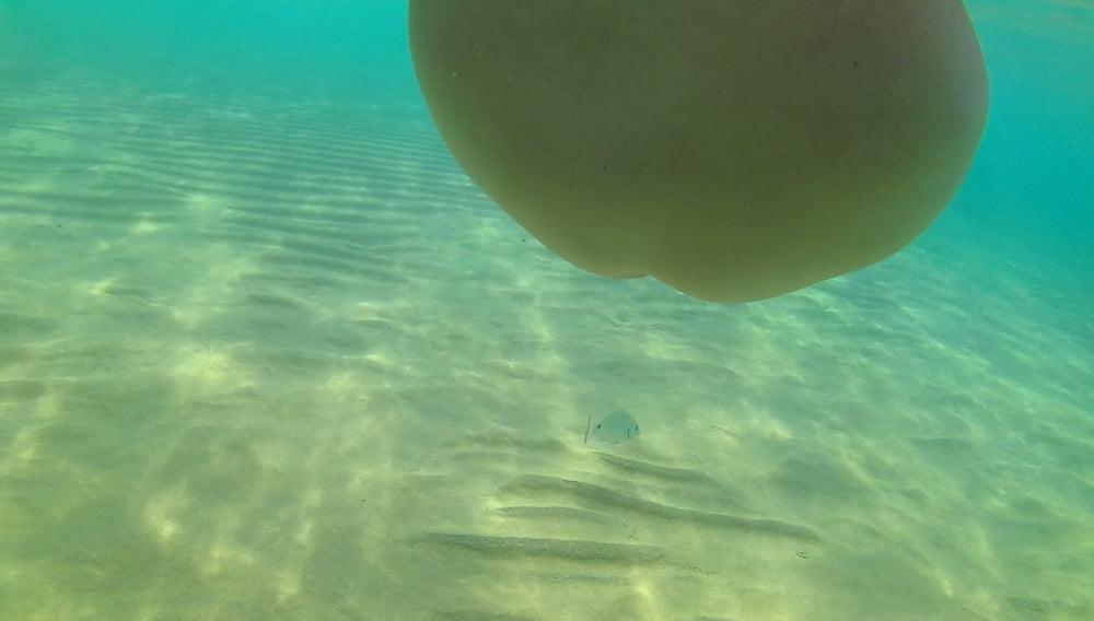 20P Naked Underwater