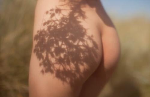 25P nature 410