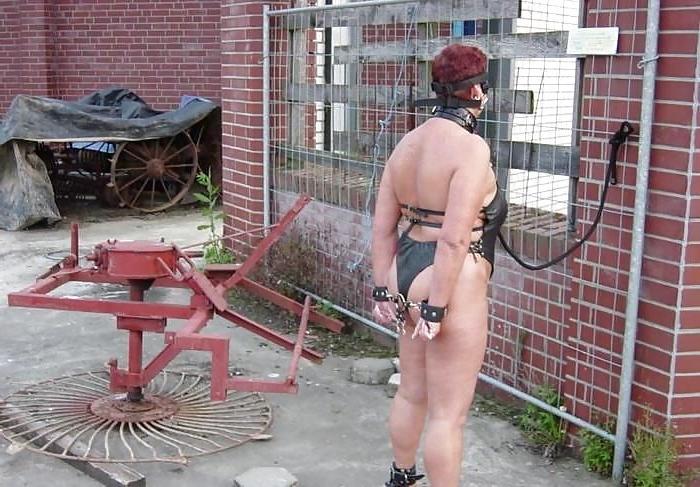 16P Mature-BBW-BDSM ladies 113
