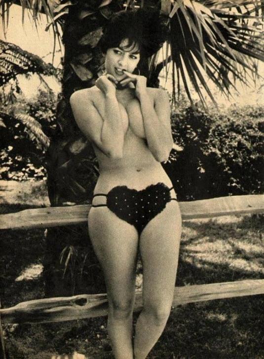 25P Busty Retro Models