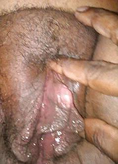 15P Bbw pussy