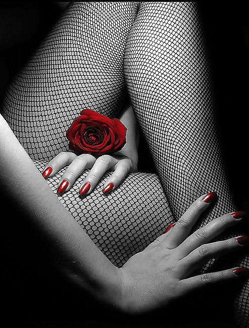 19P Lady in Red 13!
