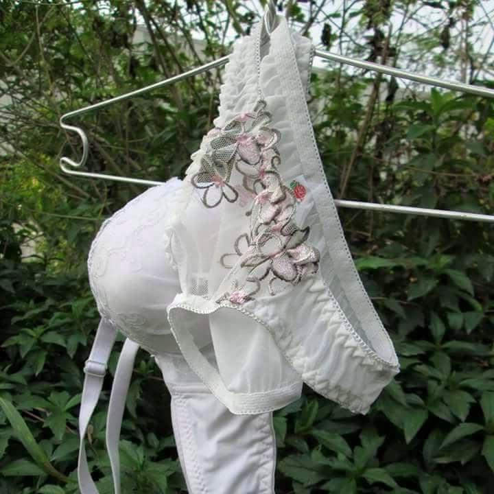 25P Underwear