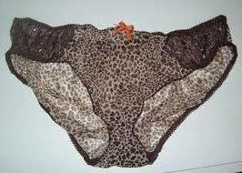 17P Delicious briefs