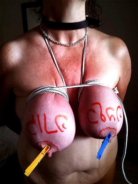 25P Nipple Clamps Sluts