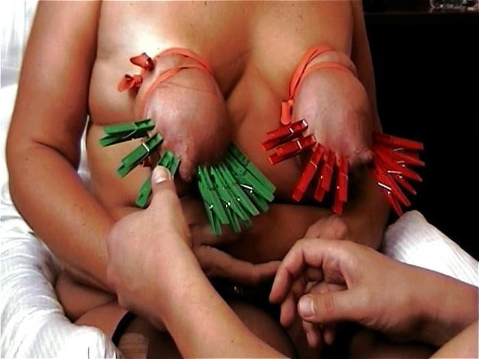 25P Nipple Clamps Sluts
