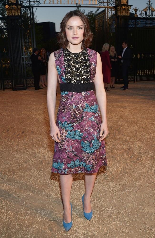 25P Gorgeous Daisy - 2015
