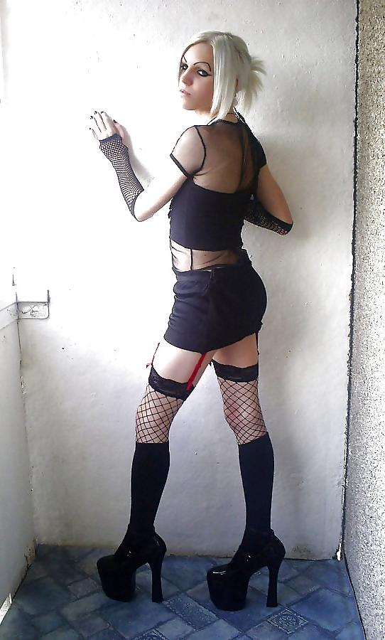 24P CD's & Tranny's