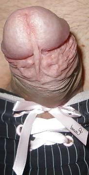 6P Slip Schwanz