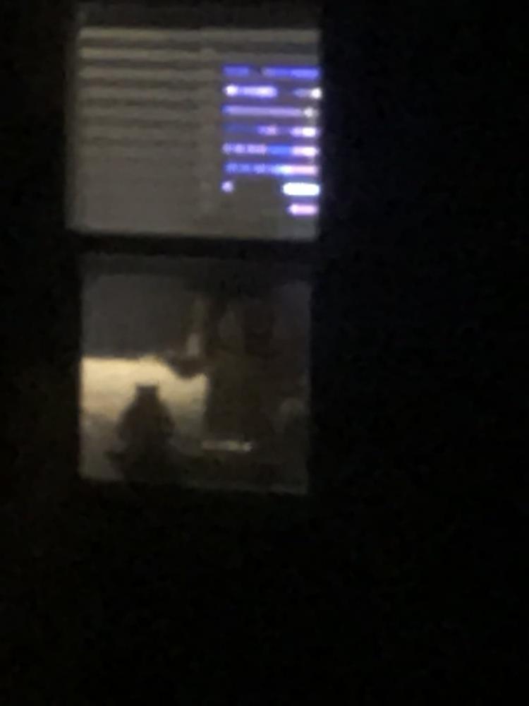 13P Neighbor's Pics